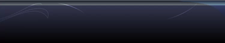 background category section